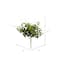 Green Clematis Spray, 3ct.